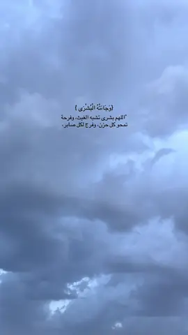 #مشاهدات 