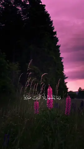 ﴿وَمَا يُلَقَّاهَا إِلَّا الَّذِينَ صَبَرُوا ۖ وَمَا يُلَقَّاهَا إِلَّا ذُو حَظٍّ عَظِيمٍ﴾ #quran #تلاوة_خاشعة #راحة_نفسيه #إسلام_صبحي #اكسبلور  من سورة فصلت، الآية 35