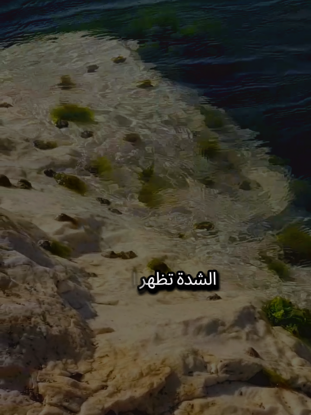 الشدة تظهر النفاق وتظهر العدو وتظهر الصديق جزى الله الشدائد كل خير وإن كانت تغصصني بريقي فما حبي لها إلا لأني عرفت بها عدو من صديقي #تركيا #اسطنبول #الغربة #اللهم_صلي_على_نبينا_محمد #شعروقصايد 