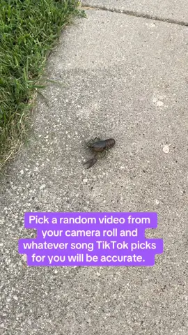 #trend #tiktokpicksthesong #audio 