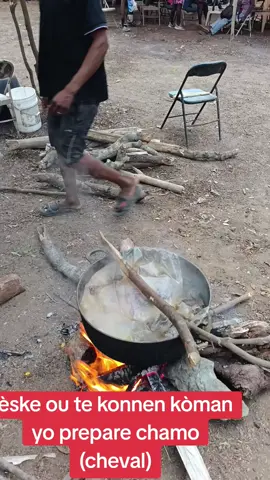 tout sa ou dwe konnen de chamo a .