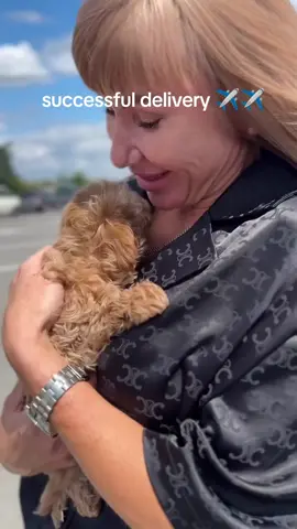 successfully delivered  #fyp #foryou #puppytiktok #maltipoo #viral 