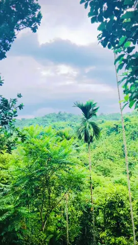 Switzerland 🙂 ... ##miniswitzerland##views##highquality##bdtiktokofficial##bangladesh@@TikTok Bangladesh