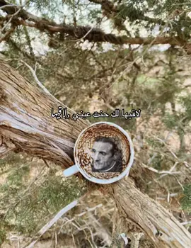 قهووة ꫂ امعيلف💗 #ليبيا_طرابلس_مصر_تونس_المغرب_الخليج #مالي_خلق_احط_هاشتاقات #شعب_الصيني_ماله_حل😂😂 