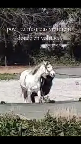 @lise🧿🌺@𝒴 𝓈 𝒾 𝒶💎 @hanae  #drole#voltige#cheval#chutedrole #lol