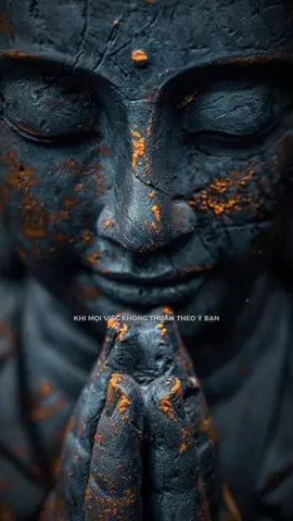 Kiên định trong chánh Tâm của chính ta #daodocdoi #phanxet #quotes #tutap #buongbo 