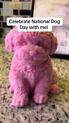 #onthisday #nationaldogday #cashsurprise #giantwaxmelt 