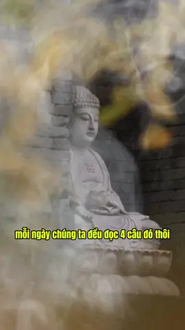 đọc 4 câu xám hối mỗi ngày giúp chuyển hoá #phatphap #phatphapnhiemmau #annhien #loiphatday #chualanhtamhon #hoathuongthichtriquang 