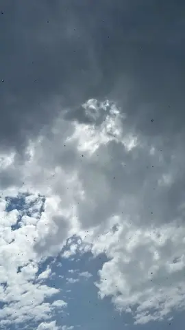 🌧️