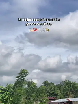 #fue› #foryoupage #tiktok #virall #sueños 