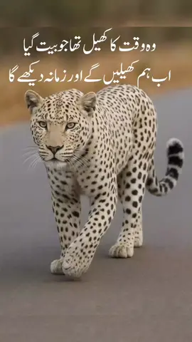 #leuperdwalking #whatsappstatus #attitudevide #tik_tok 