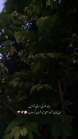 میں تیری اک 
