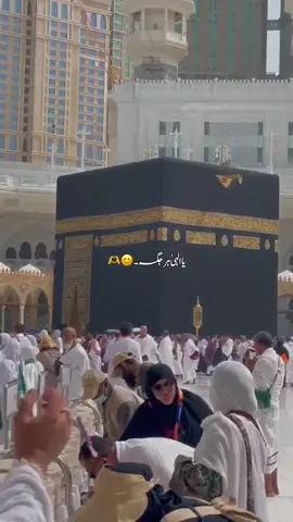 ہا الہیٰ ہر  جگہ تیری عطا کا ساتھ ہو 🤲🥺🕋#foryou #foryoupage #viral #fvp #trending @Ashura @Alizay Typist @TiktokPakistanOfficial 