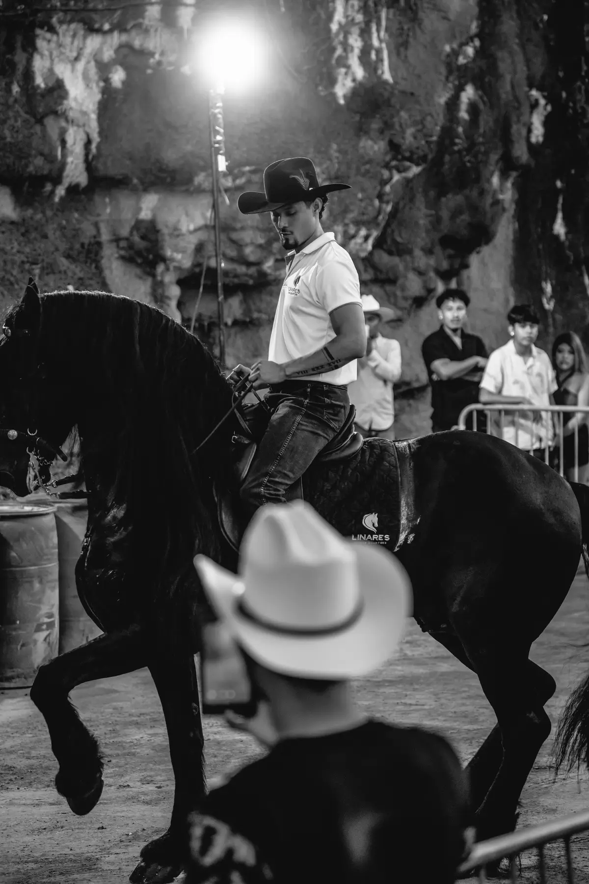 ⭐️  #caballosbailadores #caballostiktok #caballos #caballosfrisones #fypシ 