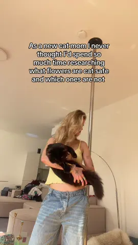 #cat 