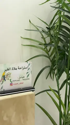 استراحة ملاذ الطير#مالي_خلق_احط_هاشتاقات #لايك_متابعه_اكسبلور #🎶💞 