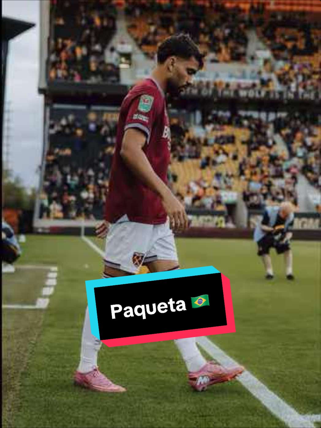 Ready for Wolves 🇧🇷