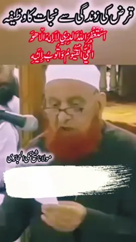 #maulana_makki_alhijazi #SUBHANALLAH #foryou #illu 