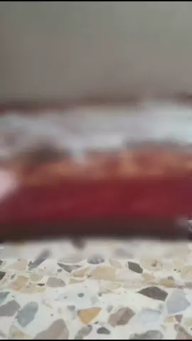 يسعد ربي عراقية 🇮🇶❤️