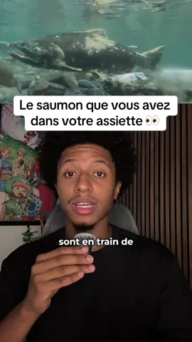 La on parle des vrais sacrifice les gars 💀 #salmon 