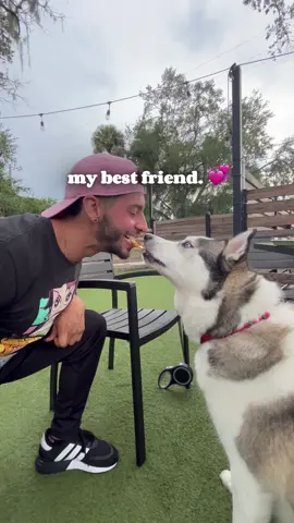 Happy International Dog Day from Goku and me 😛🐶 #internationaldogday #husky #doggo #dogsoftiktok #BestFriends 