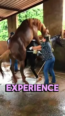 The True Joy of Horseback Riding 🐎✨ #HorseRidingJoy #EquestrianLife #HorsebackMagic #RideWithFreedom #HorseLovers #EquestrianDreams #FarmRiding #CountryLifeBeauty #HorsesAndHumans