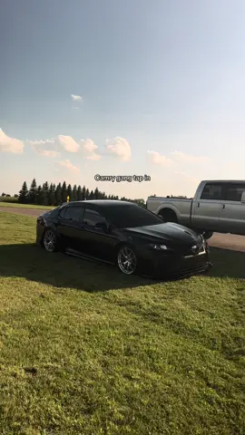 Or Toyotas in general #camry #toyotacamry #cars #toyota #cartok @Shae 