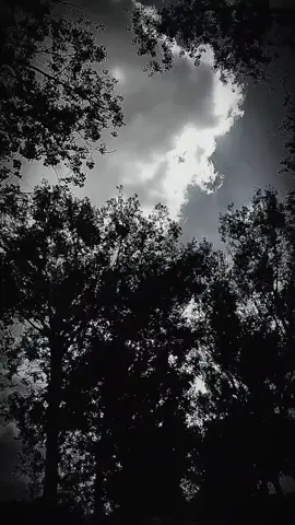 Kto przez to przechodzi teraz , zostaje ze mną 😎  Potrzebuje takich osób . 🫶