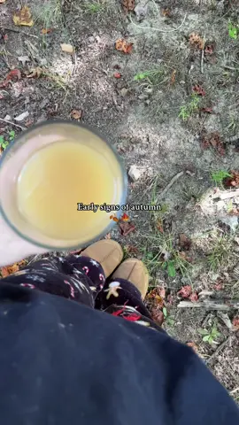 It’s so perfect❕🤎🍂🍁 #fall #autumn #fyp #foryou #fyppppppppppppppppppppppp 