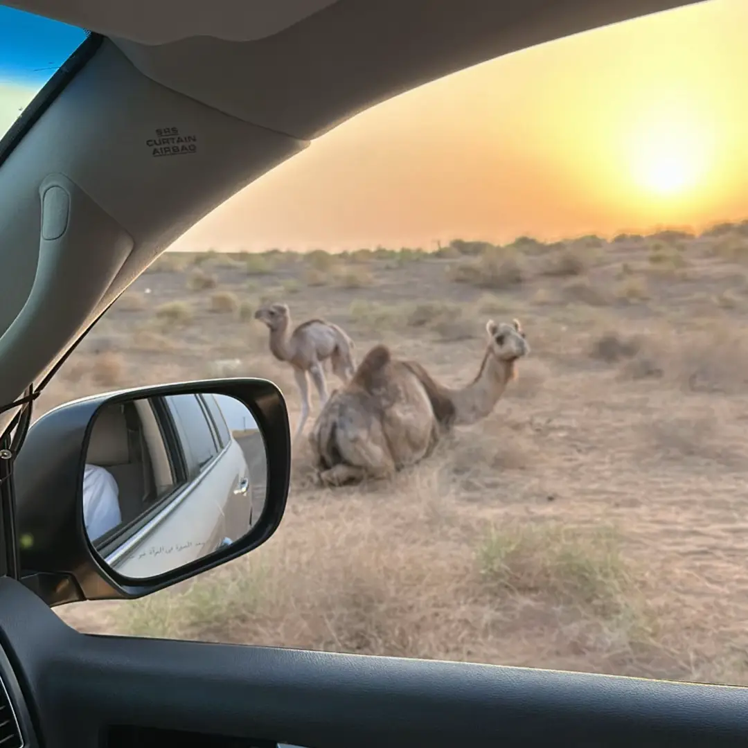 خمسة يراعونه مخصص تحت اقدمه تفرش لآلي ابو هدب ان خصهن خص  أقوى من السحر الغزالي تعال والدنيا تبا فرص بنطير وين النجم عالي قل للعواذل مالهم خص انته فقط ليه لحالي #اسعد_البطحري #مبهر_جماله