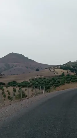 #naturelover #morocco #tamazight 
