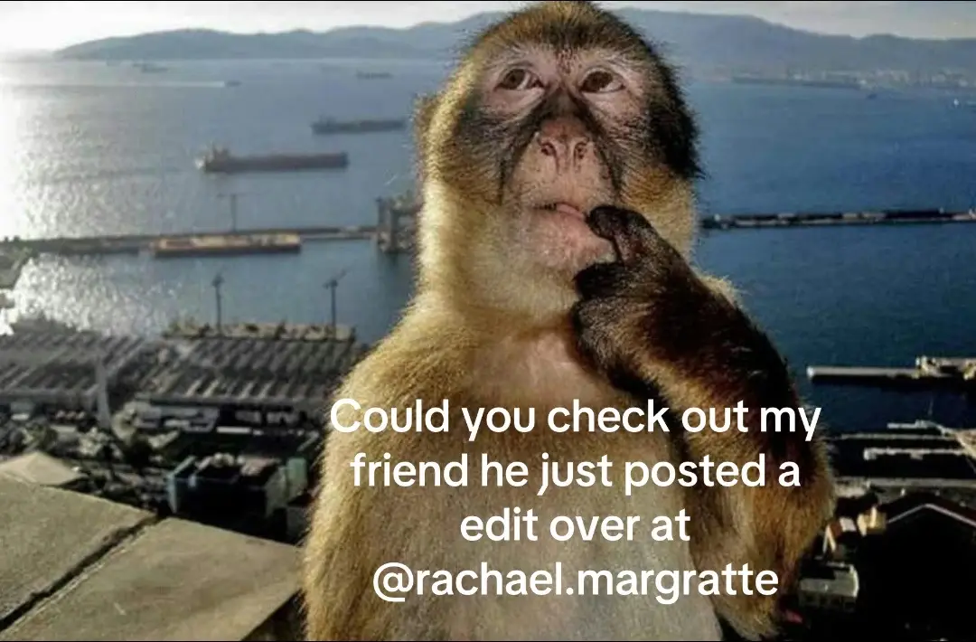 #viral #fyp #tmnt #mainstream 