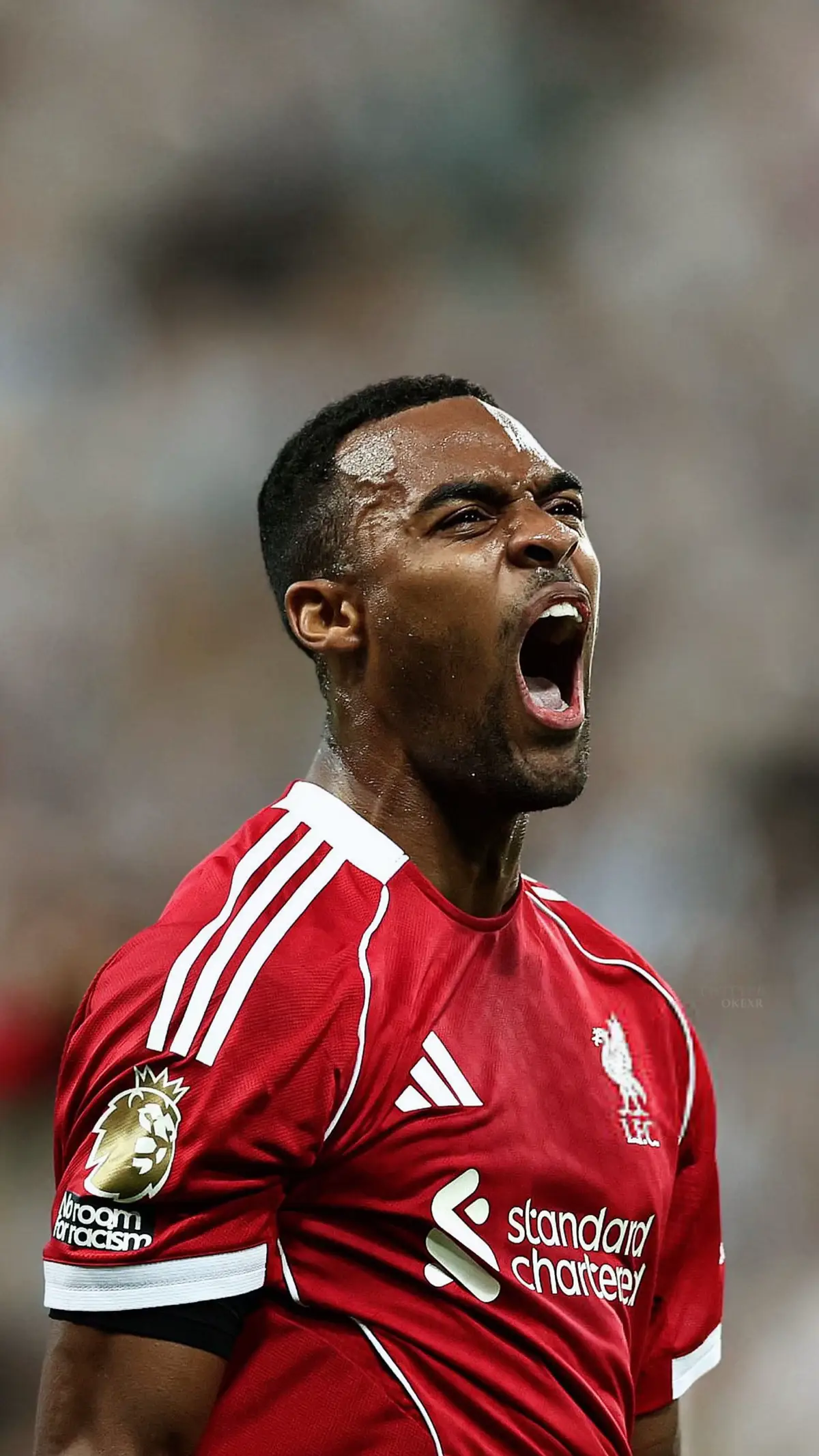 #wallpapers #gravenberch #liverpoolfc #wallpapers4k #fyp 