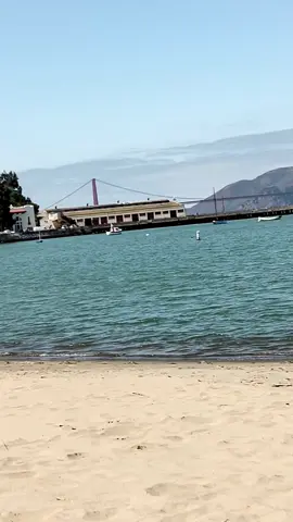 San Francisco, my place of birth. I wouldn't wanna be anywhere else. #sanfrancisco #aquaticpark 