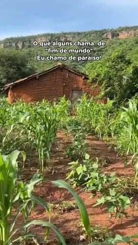 O que alguns chamam de 