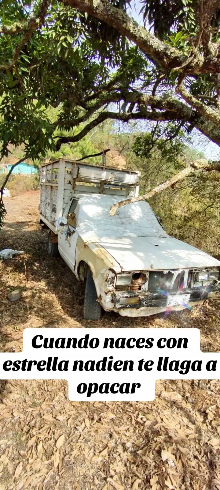 #proyecto #nissan #87 #losdosdetamaulipas #viral 