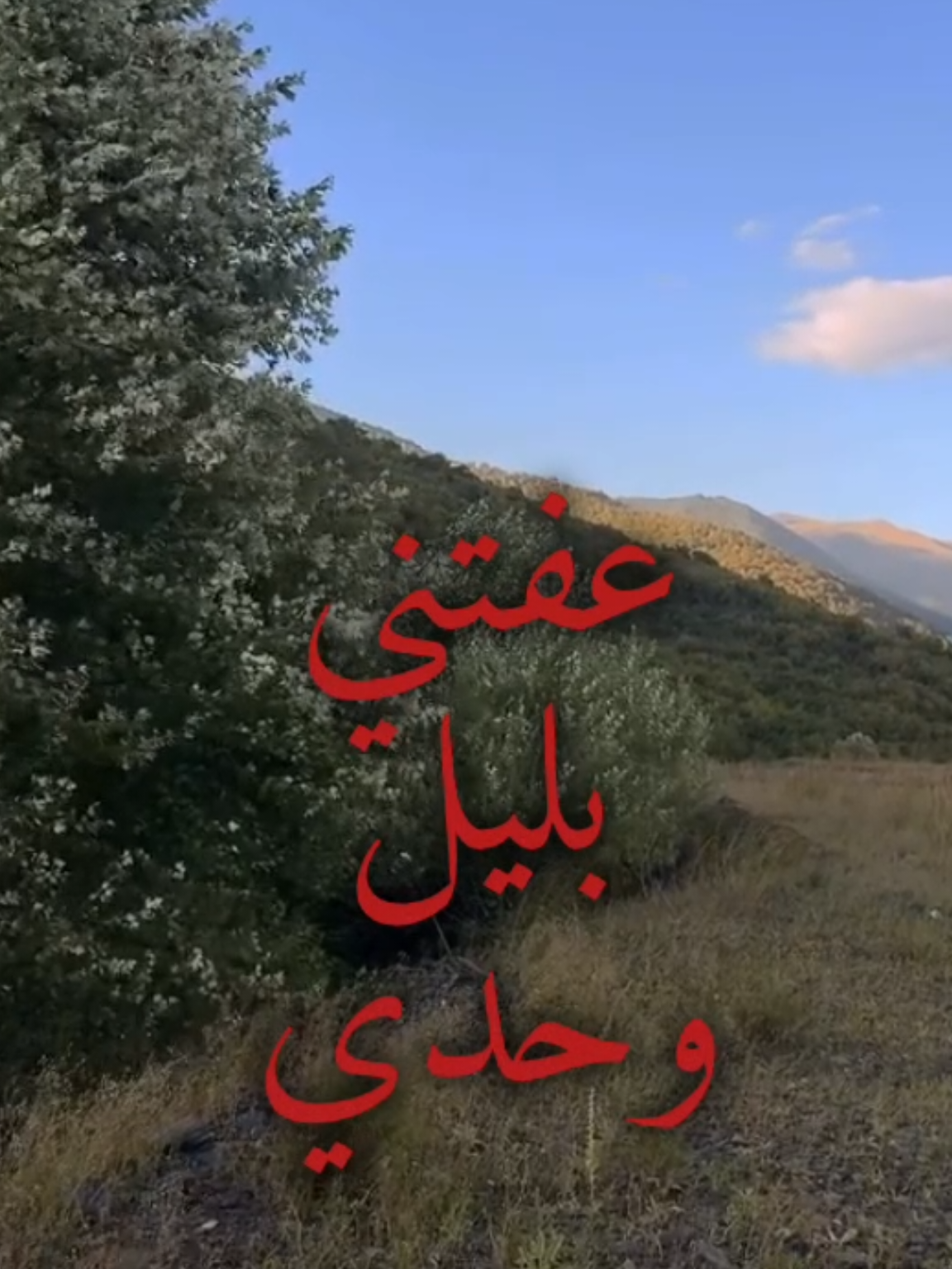 عمر هادي عفتني بليل وحدي.. #عمر_هادي #موال #تصميم_فيديوهات🎶🎤🎬 #Sing_Oldies 