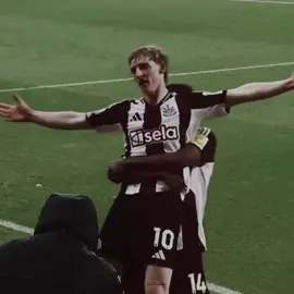 #ANTHONYGORDON | pitbull territor 😮‍💨 #fyp #vandijk #newcastleunited #edit 