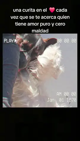 #perros #paratiiiiiiiiiiiiiiiiiiiiiiiiiiiiiii  #amor 