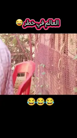 العالم في خطر 😅😅 #شعب_السودان_الكريم #الشعب_السوداني_قوات_مسلحة  #سودانيز_نكات🤣 #السودان_كوميدي🤣_دراما🇸🇩🇸🇩   #الشعب_السواني_الجميل❤️ 