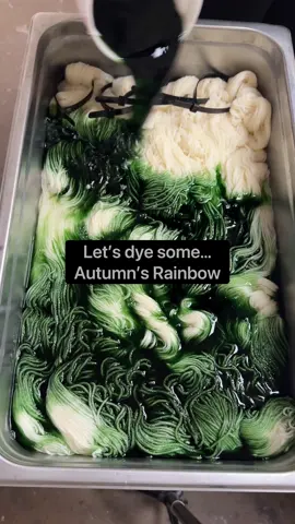 #HandDyedYarn #IndieDyer #KnittingTok #CrochetTok 