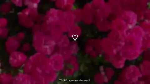 #فى_حماك_ربى_غايتى_رضاك #foryou #explore #اناشيد_بدون_موسیقی 