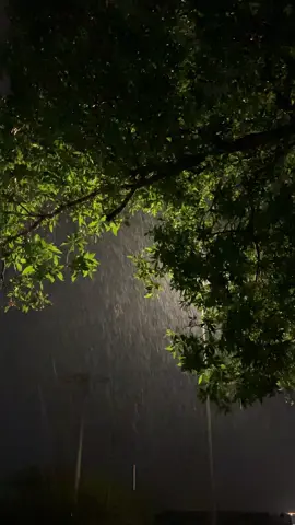 اغسطس جازان 🥲🤍🤍 #explore #جازان #مطر 