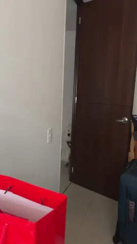 #pet #mascotas #fyppppppppppppppppppppppp el reloj biológico de ellos es muy bravo, él sabe a qué hora le toca salir 🤣🤣