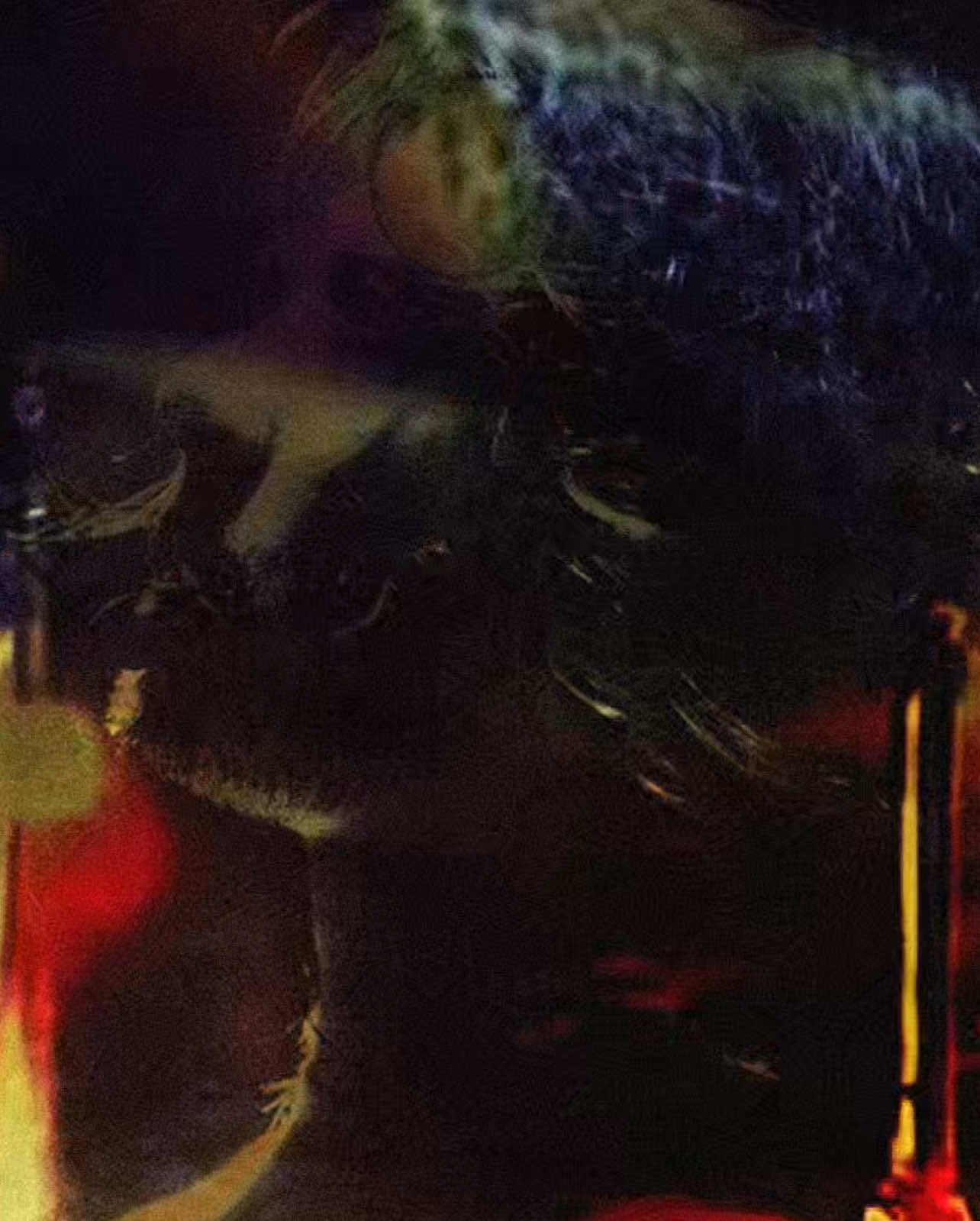 Deftones - Se*tape                                     #Deftones #lyrics #music #fyp #foryoupage