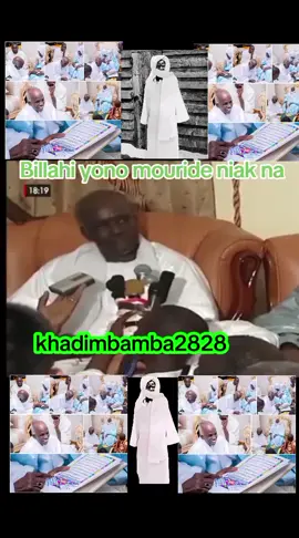 رحم الله الشيخ محمد المصطفى الصالح  رحمة واسعة اللهم إغفر له و رحمه #khasidayi_rek #serignesaliou #videoviral #moubarak @khadim Bamba 2828 @khadim Bamba 2828 @khadim Bamba 2828 