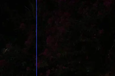 إلا وأنا معاك🥹💗 . #lyrics #song #music #فضل_شاكر #احلي_رسمه 