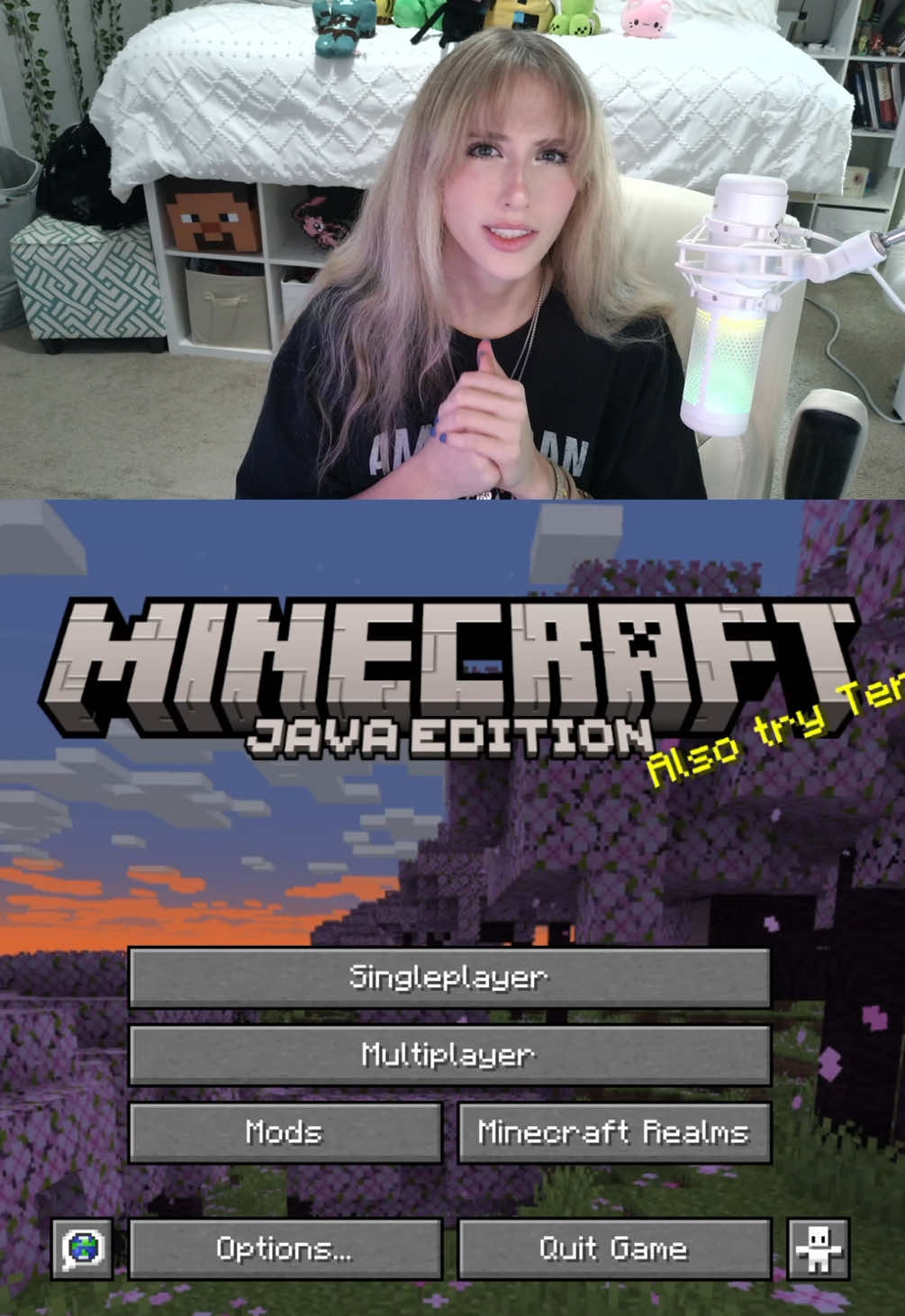 Never playing this again :/ #Minecraft #gaming #fyp #streamer #minecraftmemes 