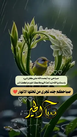 #ادعيه_اذكار_تسبيح_دعاء_استغفار #تصاميم_دينيه #صباح_الخير 