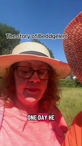 The story of Beddgelert #bravedog #storytime #northwales #dog #baby 